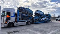 TP Automotive camiones 2